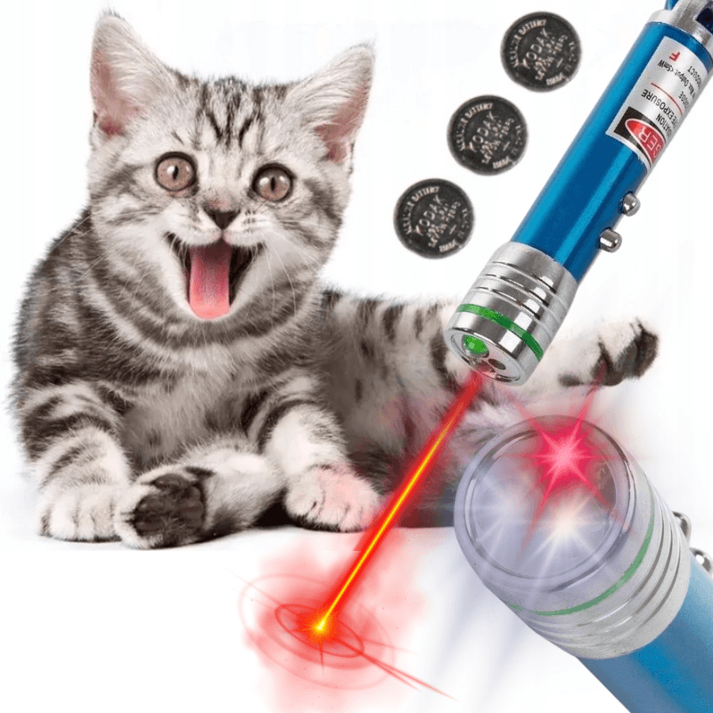 a8_tds0524_Laser brelok dla kota